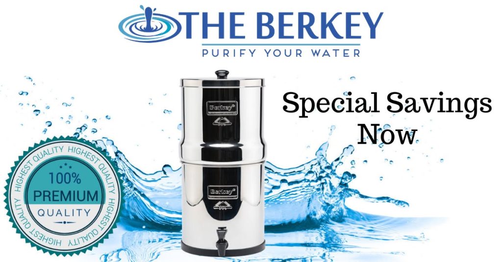 Berkey water filter system review 2026 stainless steel