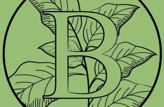 Exclusive Code – GET 15% OFF Your Entire Order | Limited Time Only