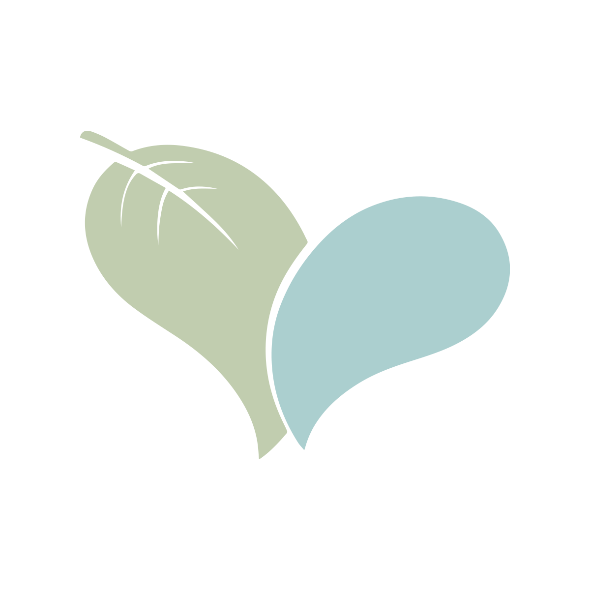 GCSE & Complete French Course subscription – Only $10 a month