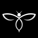 Mind–Body–Energy Bundle