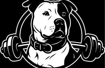 Exclusive Code – GET 10% OFF | Limited Time Only