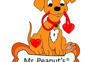 Save Up To 20% on Your Favorite Brands