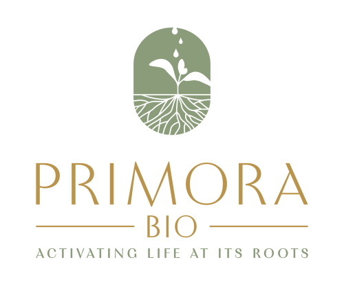 Exclusive Code – GET 10% OFF | Limited Time Only