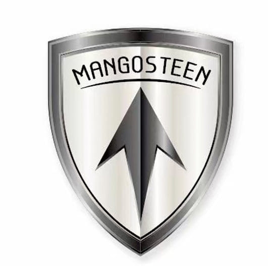 Mangosteen M1P Citycoco Electric Bike Scooter
